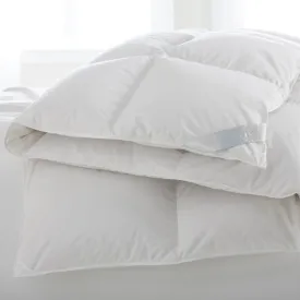 Salzburg Down Comforter by Scandia Home