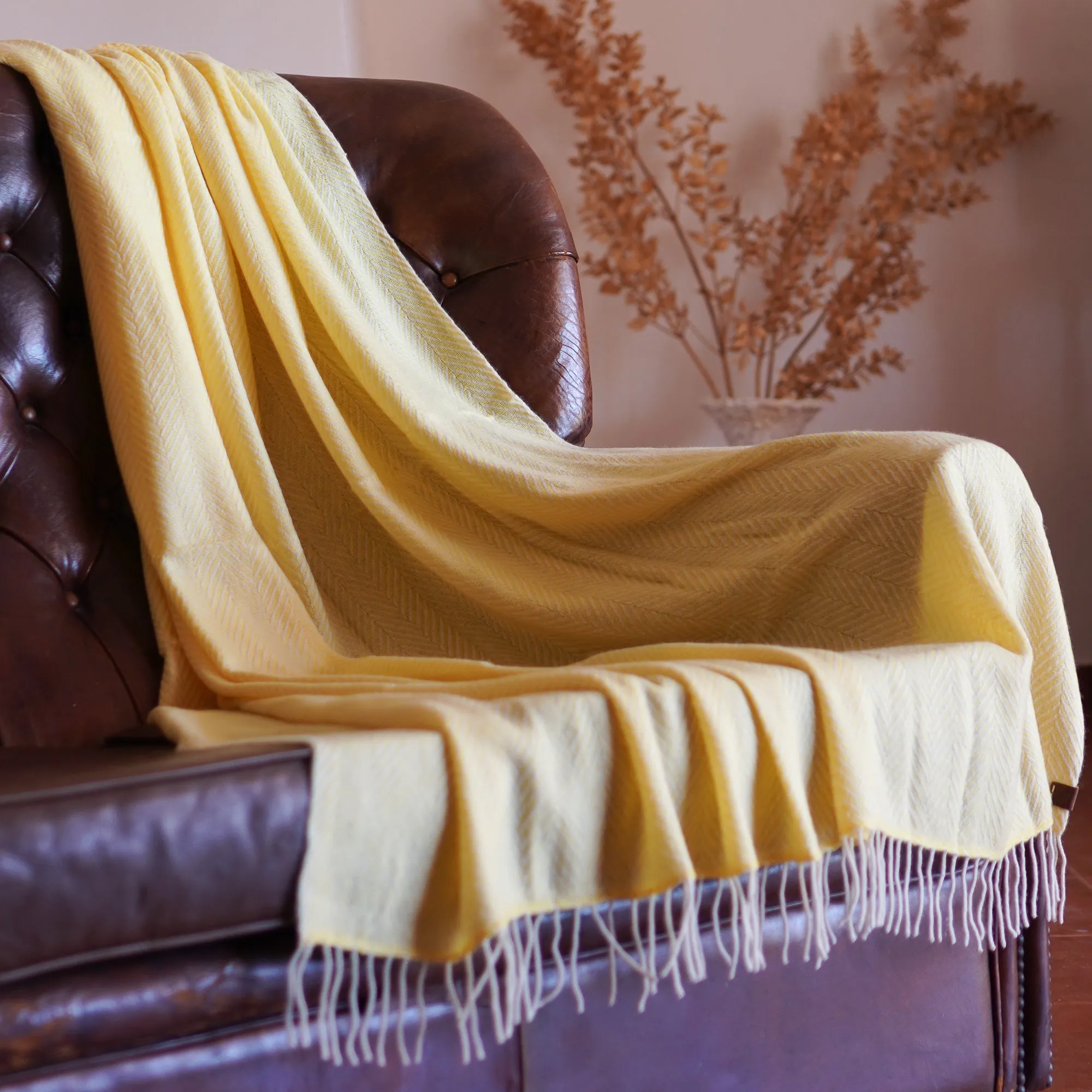 Signature - 100% Cashmere - Blanket Throw